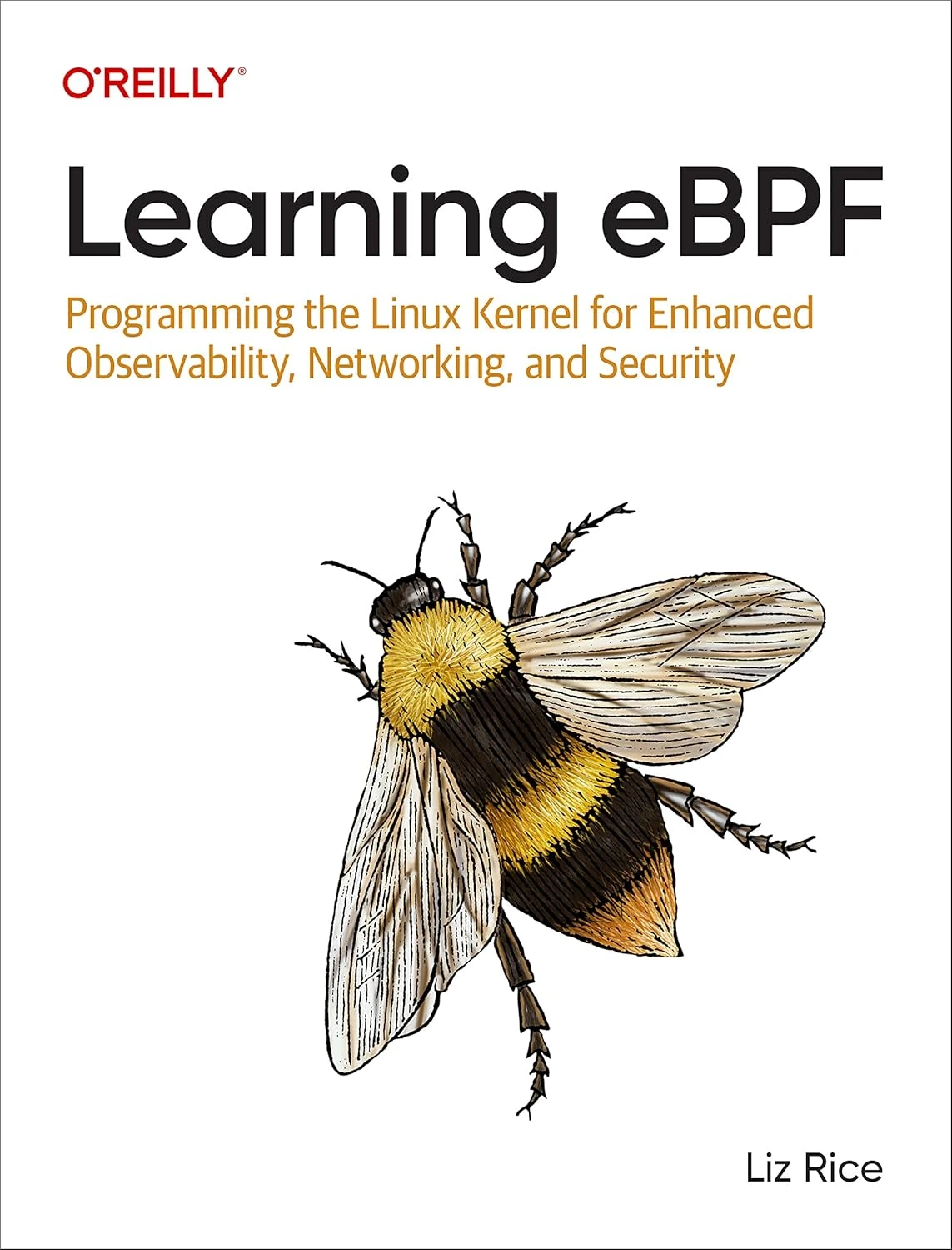Learning eBPF