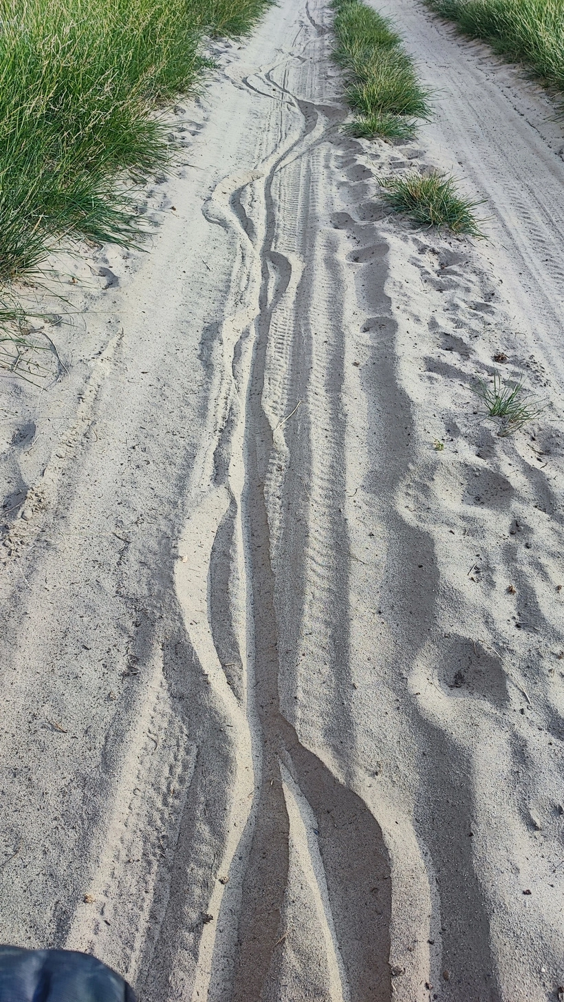 Sand